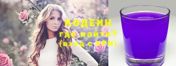хмурый Алексин