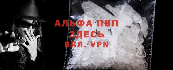 хмурый Алексин