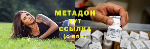 гидра Алексеевка