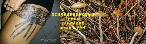 винт Алзамай