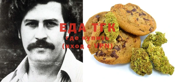хмурый Алексин