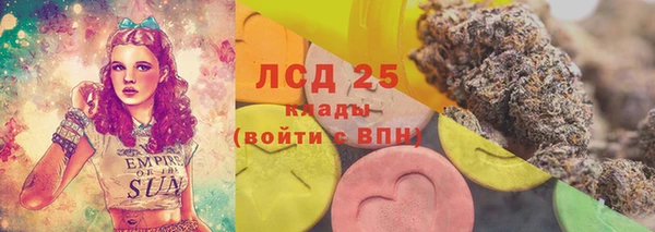 хмурый Алексин
