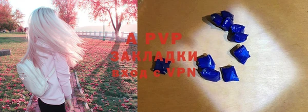 гидра Алексеевка